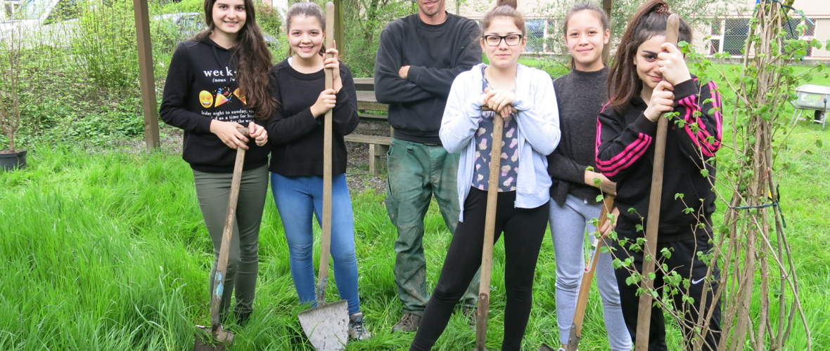 Alge_Gartenbau_Zukunftslust_MSKirchdorf_2016_LustenauMarketing Alge_Gartenbau_Zukunftslust_MSKirchdorf_2016_LustenauMarketing