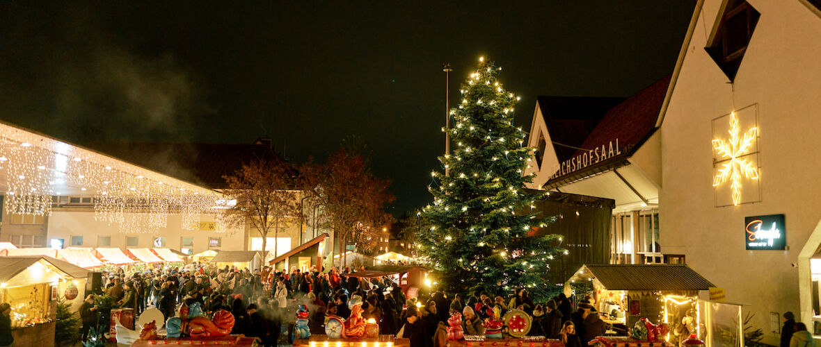 CKM_2024@MiroKuzmanovic (121)