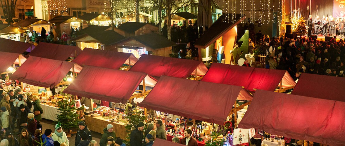 CKM_2025_medium@Miro Kuzmanovic127