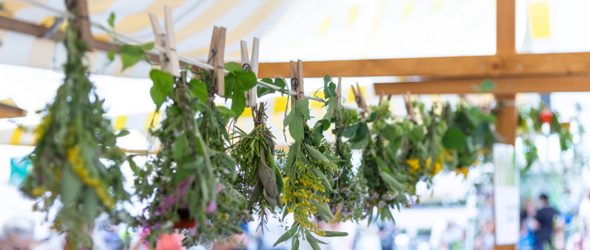 Kräutermarkt_Lustenau_BY_MIKE_SIBLIK_040 Kräutermarkt_Lustenau_BY_MIKE_SIBLIK_040