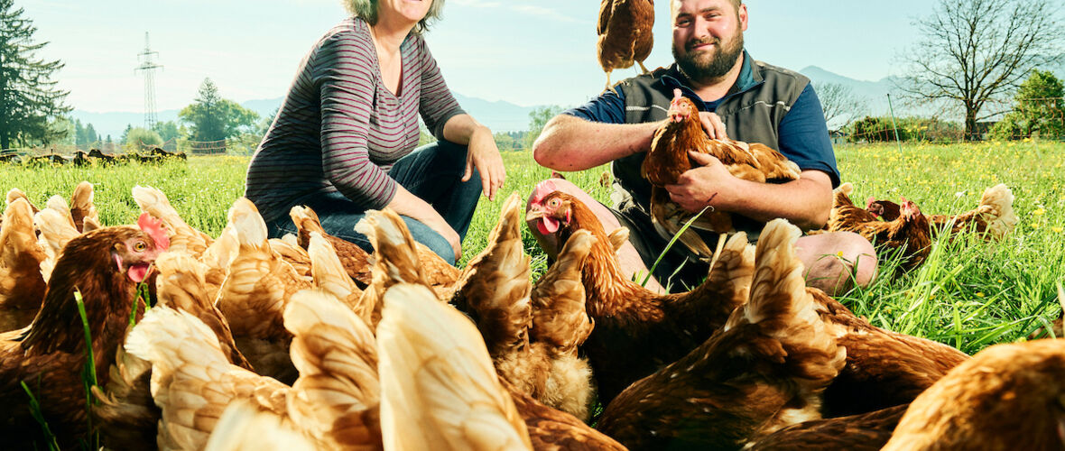 Nußis Hof_2023@Miro Kuzmanovic3 Nußis Hof_2023@Miro Kuzmanovic3