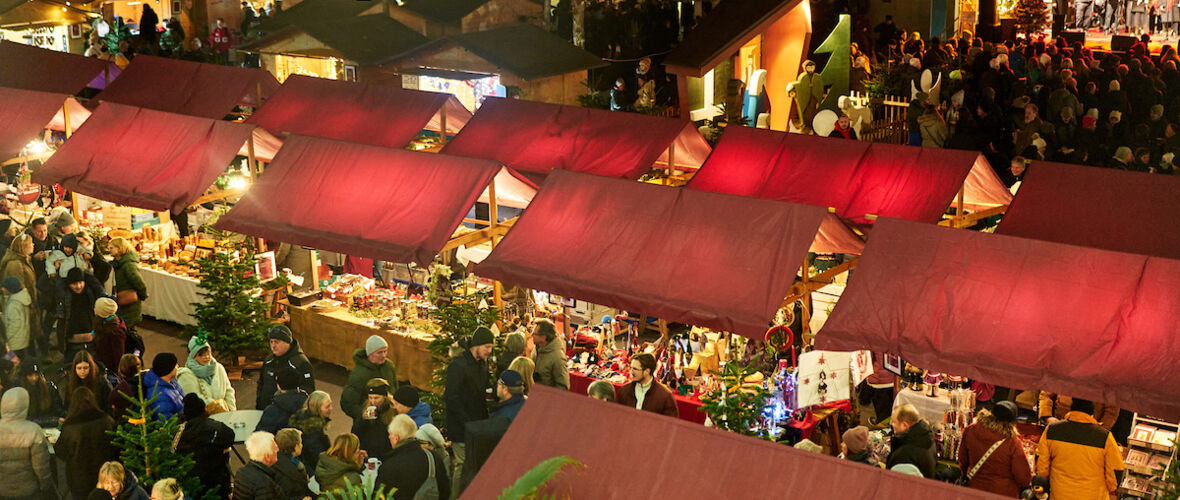 CKM_2025_medium@Miro Kuzmanovic127