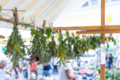 Kräutermarkt_Lustenau_BY_MIKE_SIBLIK_040