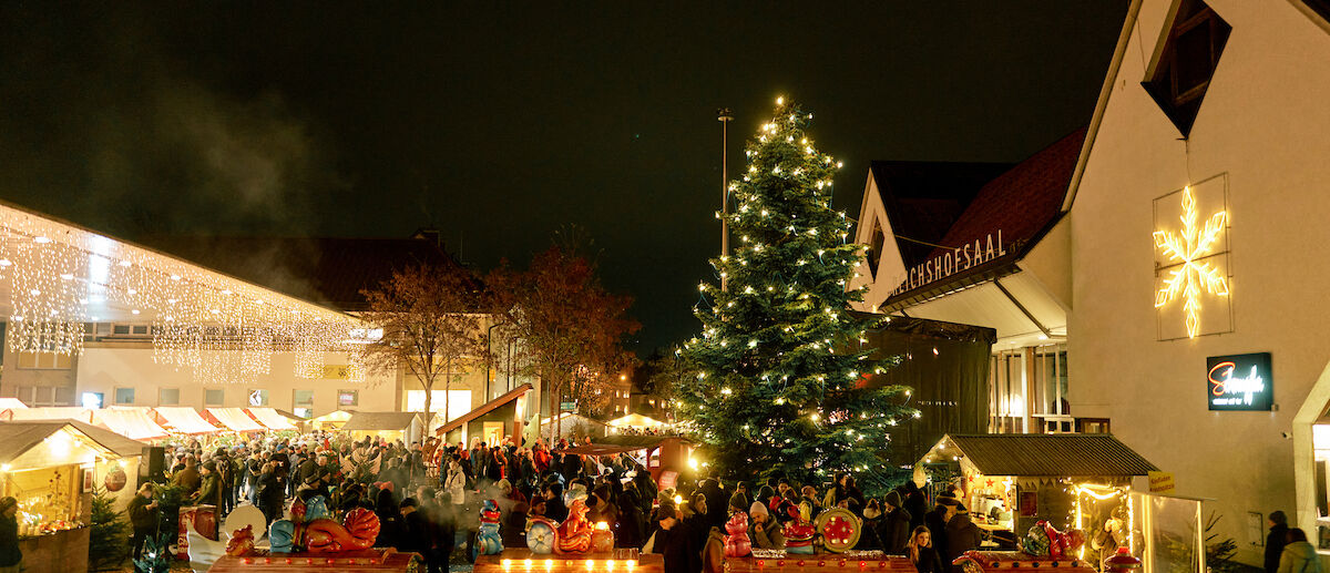 CKM_2024@MiroKuzmanovic (121)