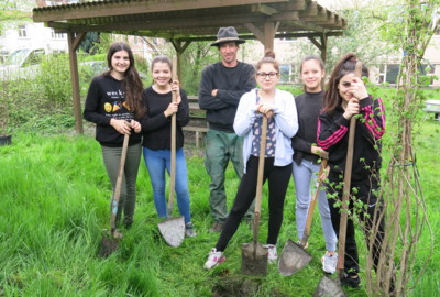 Alge_Gartenbau_Zukunftslust_MSKirchdorf_2016_LustenauMarketing Alge_Gartenbau_Zukunftslust_MSKirchdorf_2016_LustenauMarketing