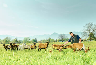 Nußis Hof_2023@Miro Kuzmanovic5 Nußis Hof_2023@Miro Kuzmanovic5