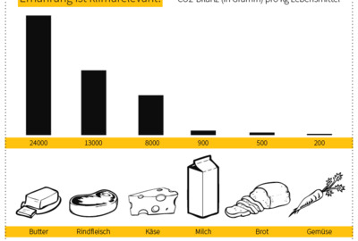 infografik_web1 infografik_web1