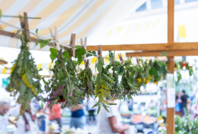 Kräutermarkt_Lustenau_BY_MIKE_SIBLIK_040
