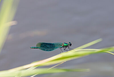 2025_LL37_Fischerparadies_3@Lukas Hämmerle