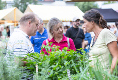 Kräutermarkt_Lustenau_BY_MIKE_SIBLIK_054 Kräutermarkt_Lustenau_BY_MIKE_SIBLIK_054