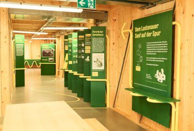 2025_LL37_Lustenauer Senf_1@Miro Kuzmanovic