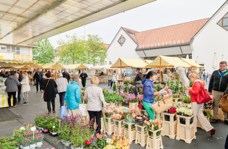 20220507_MIK_274154   HiRes