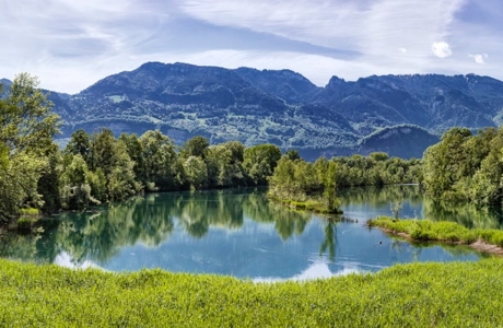 Alter Rhein Mai 2021_©Lukas Hämmerle (3) (1)