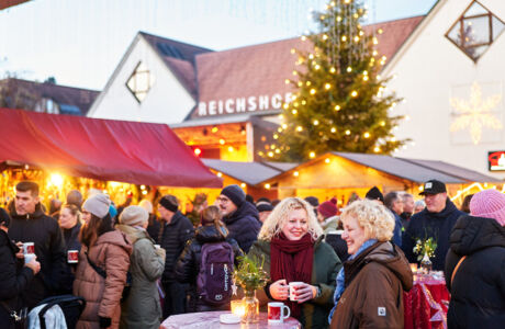 CKM_2025_medium@Miro Kuzmanovic111