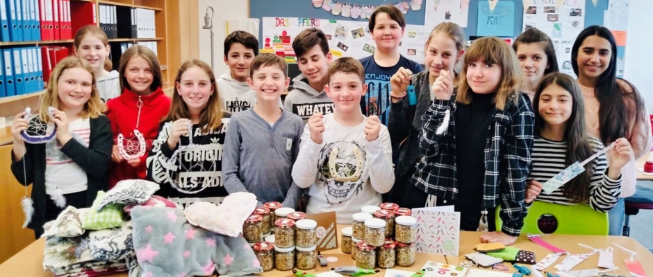 MittelschuleHasenfeld MittelschuleHasenfeld