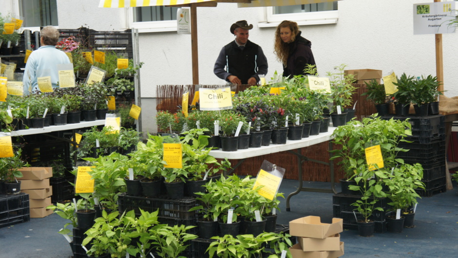 Kräutermarkt 2014