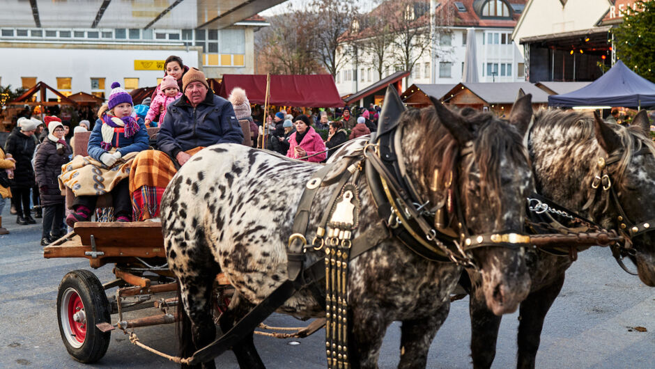 CKM_2025_medium@Miro Kuzmanovic3