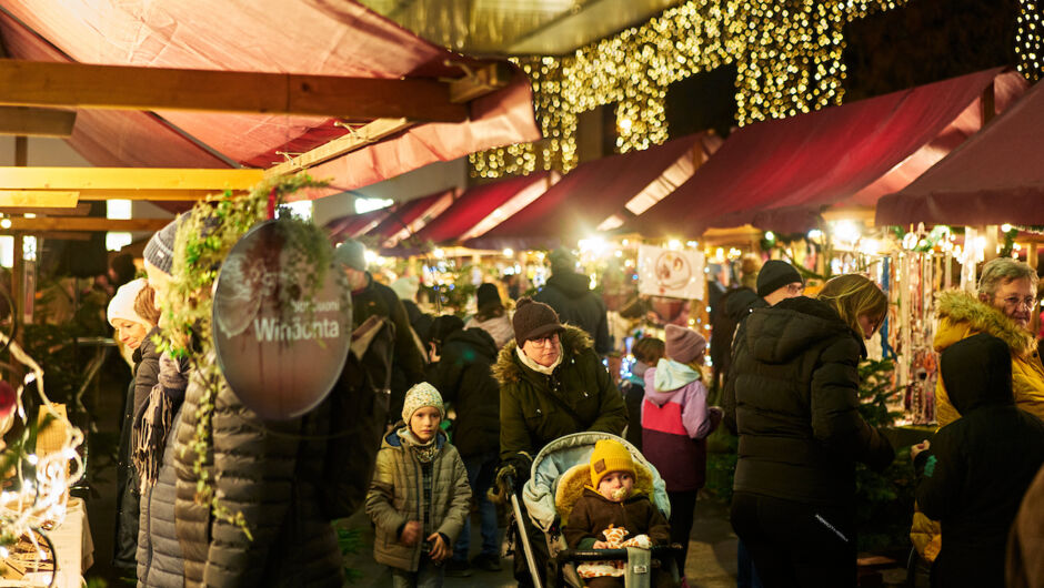 CKM_2025_medium@Miro Kuzmanovic77