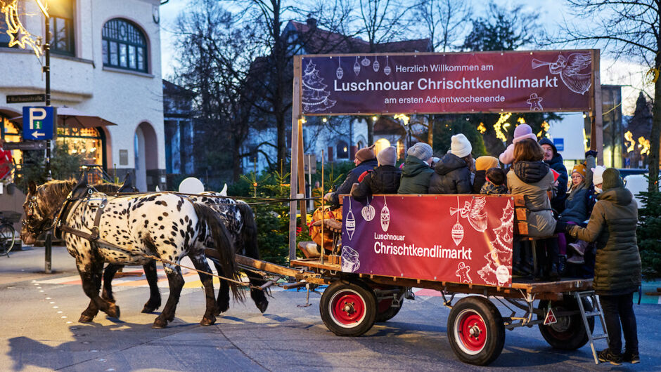 CKM_2025_medium@Miro Kuzmanovic52