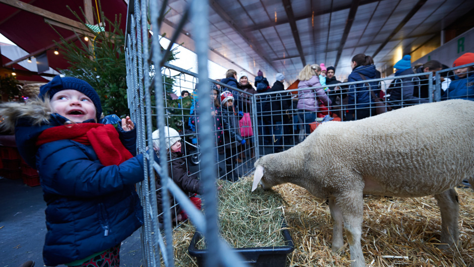 Christkindlemarkt_2013